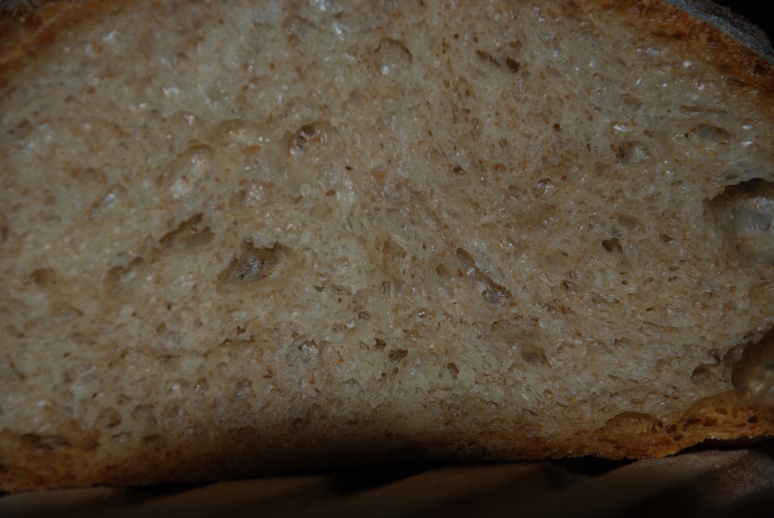 Day 3 Multigrain Batard The Fresh Loaf